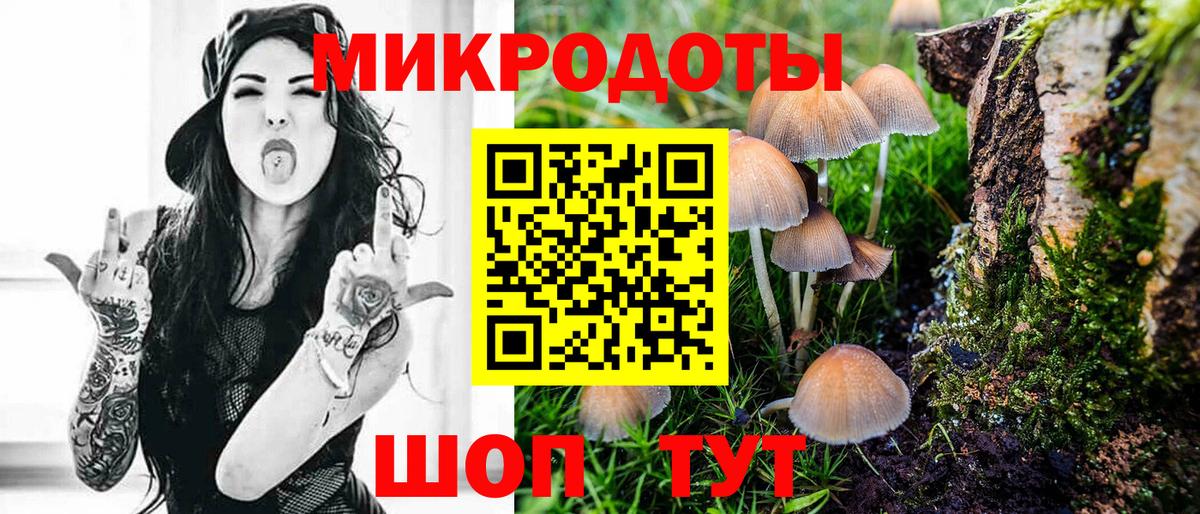 хочу   Вход с VPN  Великие Луки  Галлюциногенные грибы Magic Shrooms 