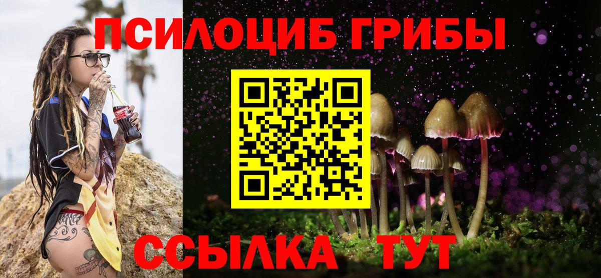 Галлюциногенные грибы мухоморы Великие Луки